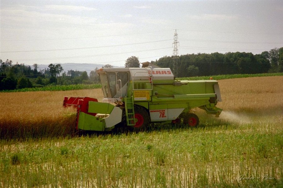 Claas Drescher 29